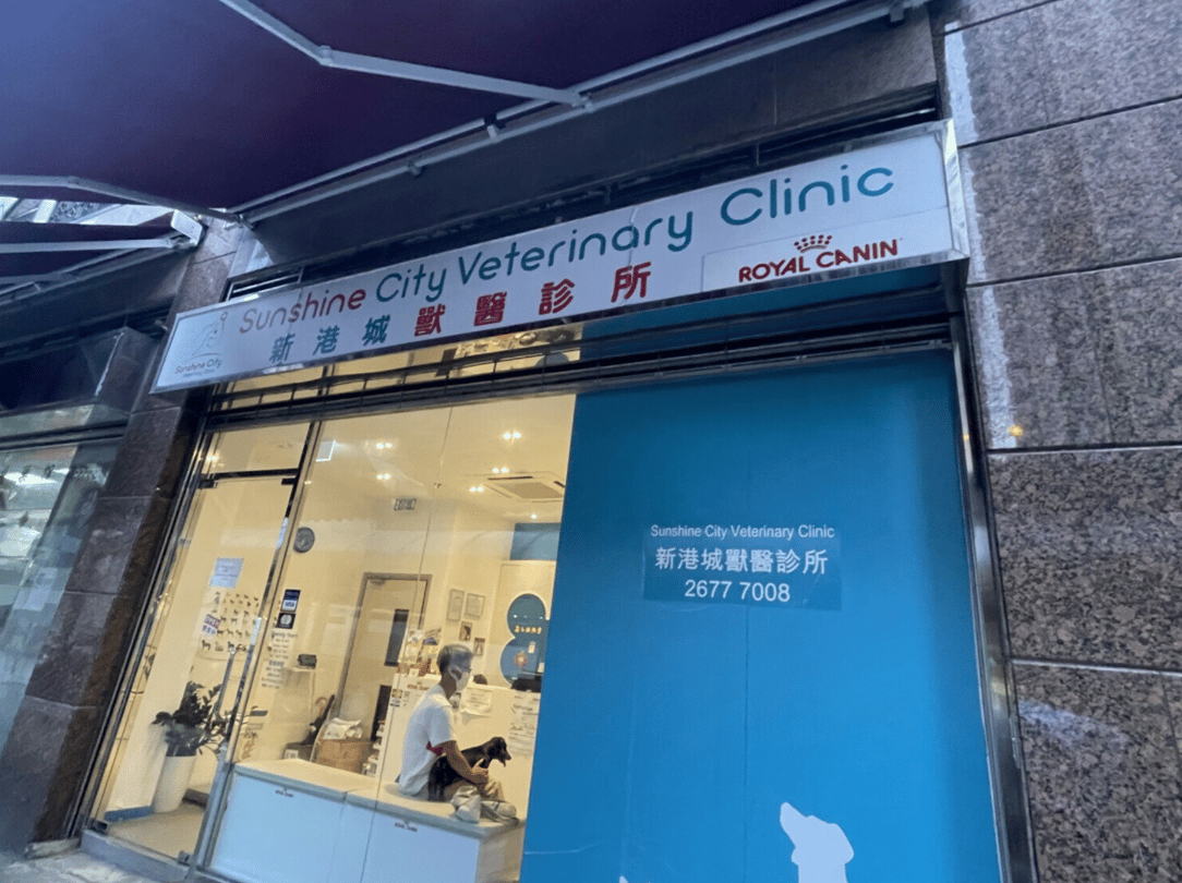 新港城獸醫診所 Sunshine Vet Clinic - momohood : 寵物診所 • 獸醫 • 好去處一站式資訊平台