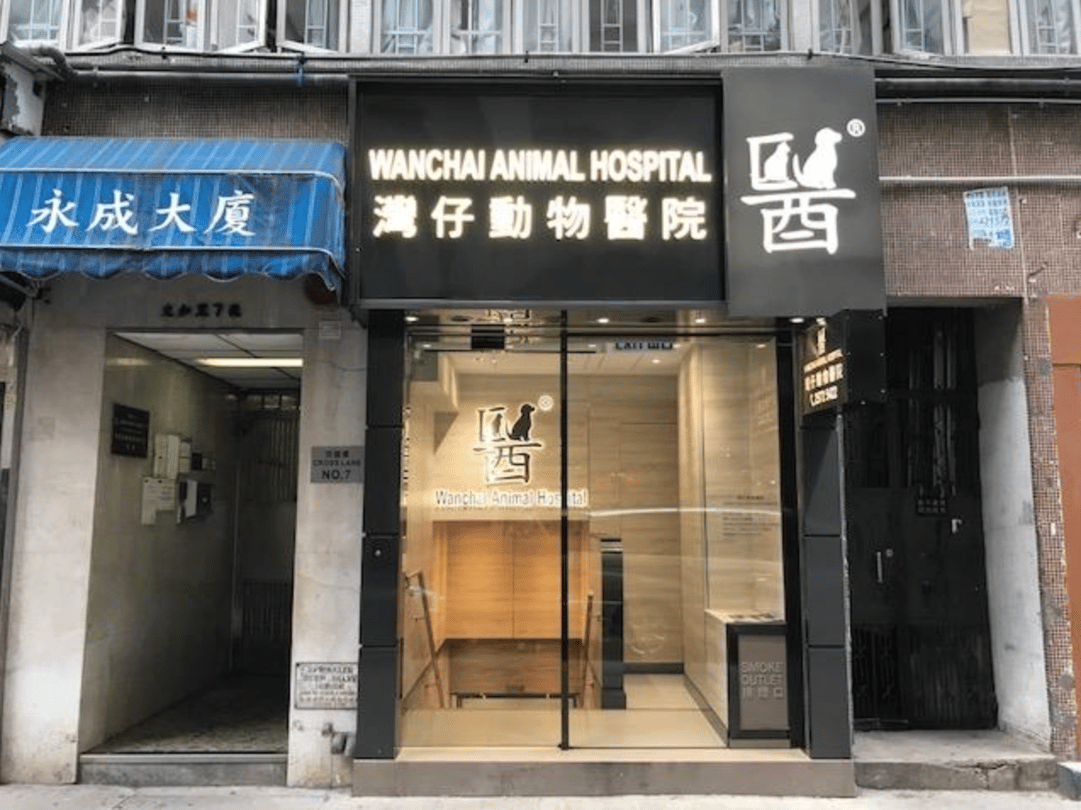 灣仔獸醫診所 Wanchai Animal Clinic - momohood : 寵物診所 • 獸醫 • 好去處一站式資訊平台