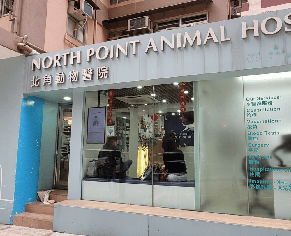 北角動物醫院 North Point Vets - momohood : 寵物診所 • 獸醫 • 好去處一站式資訊平台
