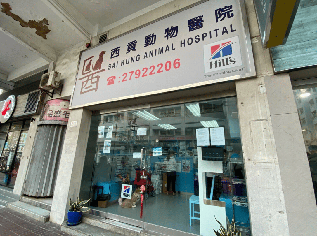 西貢動物醫院 Sai Kung Animal Hospital - momohood : 寵物診所 • 獸醫 • 好去處一站式資訊平台