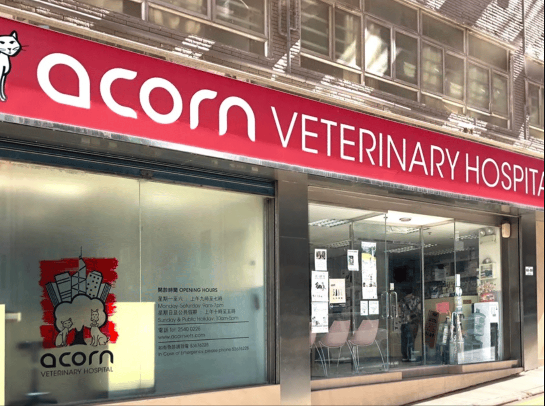 雅各動物醫院 Acorn Veterinary Hospital - momohood : 寵物診所 • 獸醫 • 好去處一站式資訊平台