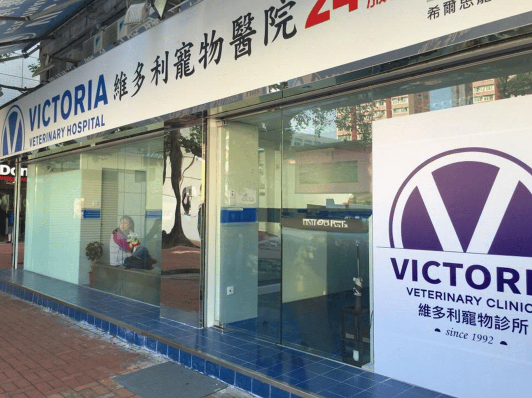 維多利寵物診所 (元朗)  24 Victoria 24hr Veterinary Hospital (Yuen Long) - momohood : 寵物診所 • 獸醫 • 好去處一站式資訊平台
