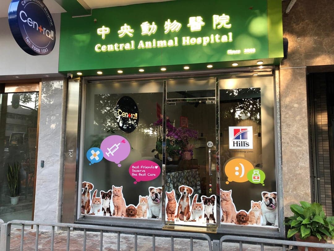 中央動物醫院 Central Animal Hospital Hong Kong - momohood : 寵物診所 • 獸醫 • 好去處一站式資訊平台