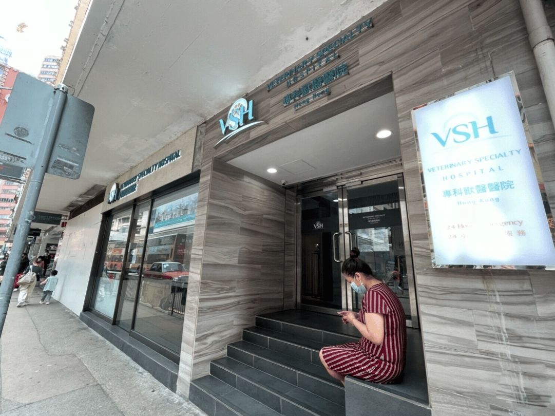 香港專科獸醫醫院 Veterinary Specialty Hospital - momohood : 寵物診所 • 獸醫 • 好去處一站式資訊平台