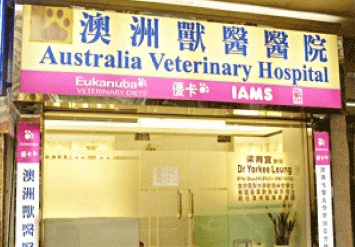 澳洲獸醫醫院(紅磡) Australia Veterinary Hospital - momohood : 寵物診所 • 獸醫 • 好去處一站式資訊平台